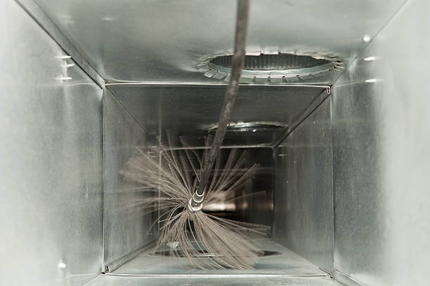 Best Air Duct Sanitizing Services  in Hawkinsville, GA
