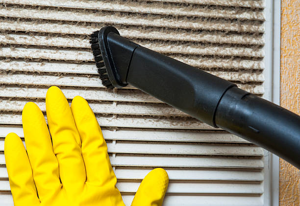 Best Affordable Air Duct Cleaning  in Hawkinsville, GA