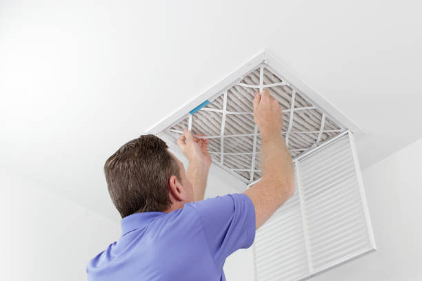 Air Duct Mold Removal in Hawkinsville, GA
